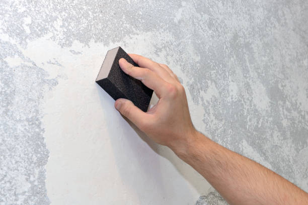 Best Mold Removal for HVAC Installations  in North Liberty, IN