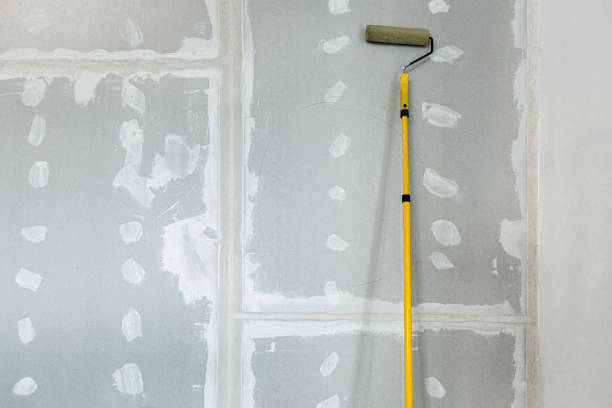 Best Black Mold Removal  in North Liberty, IN
