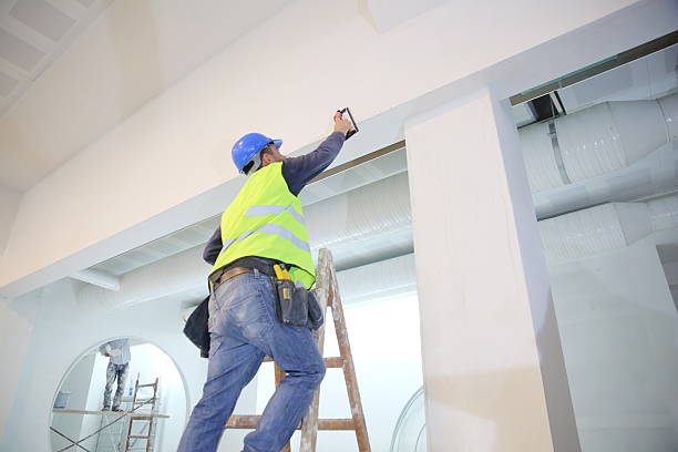Mold Documentation for Insurance Claims in North Liberty, IN