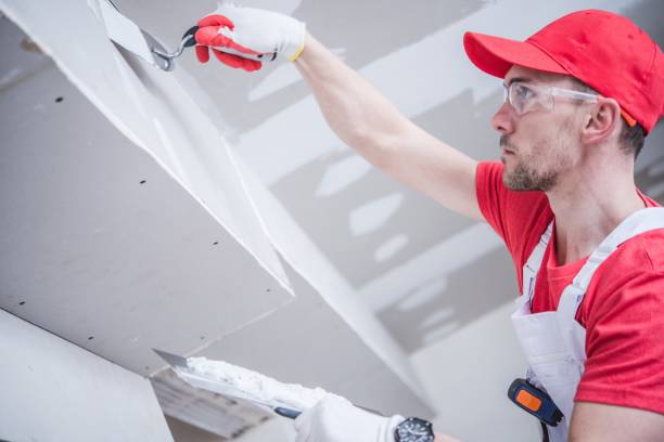 Best Attic Mold Removal  in North Liberty, IN