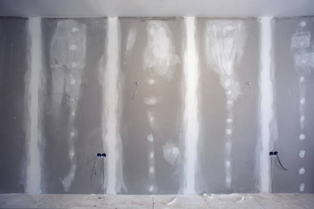 Best Real Estate Mold Inspection  in North Liberty, IN