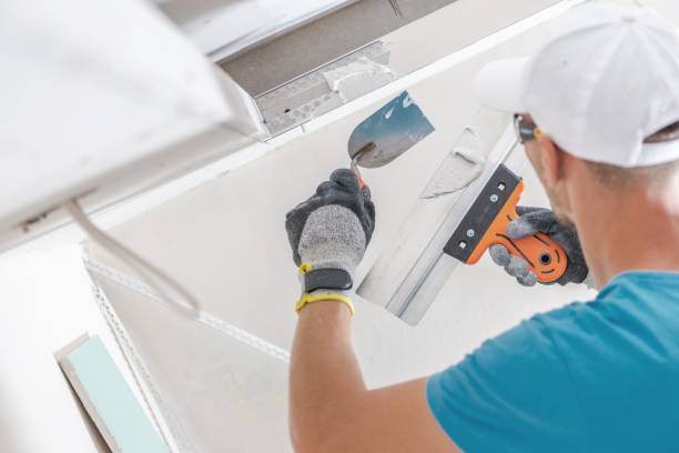 Best Comprehensive Air Testing for Mold Contaminants  in North Liberty, IN